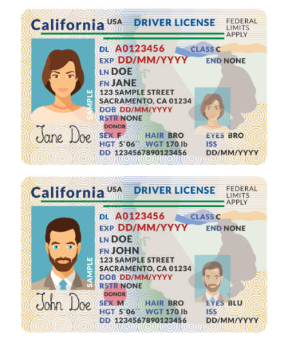 Find Your Perfect Match: Top Websites for Customized Fake IDs post thumbnail image