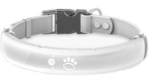Investing in Peace of Mind: Halo Collar and Your Dog’s Safety post thumbnail image