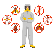 Rapid Response Pest Control in Las Vegas post thumbnail image