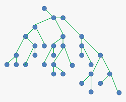 Graph games 101: Introduction to Dodo graph and Bustabbit post thumbnail image