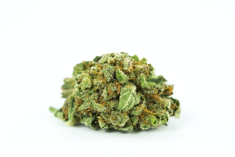 Buy Indica, Sativa& Hybrid Strains at Weed delivery Mississauga post thumbnail image