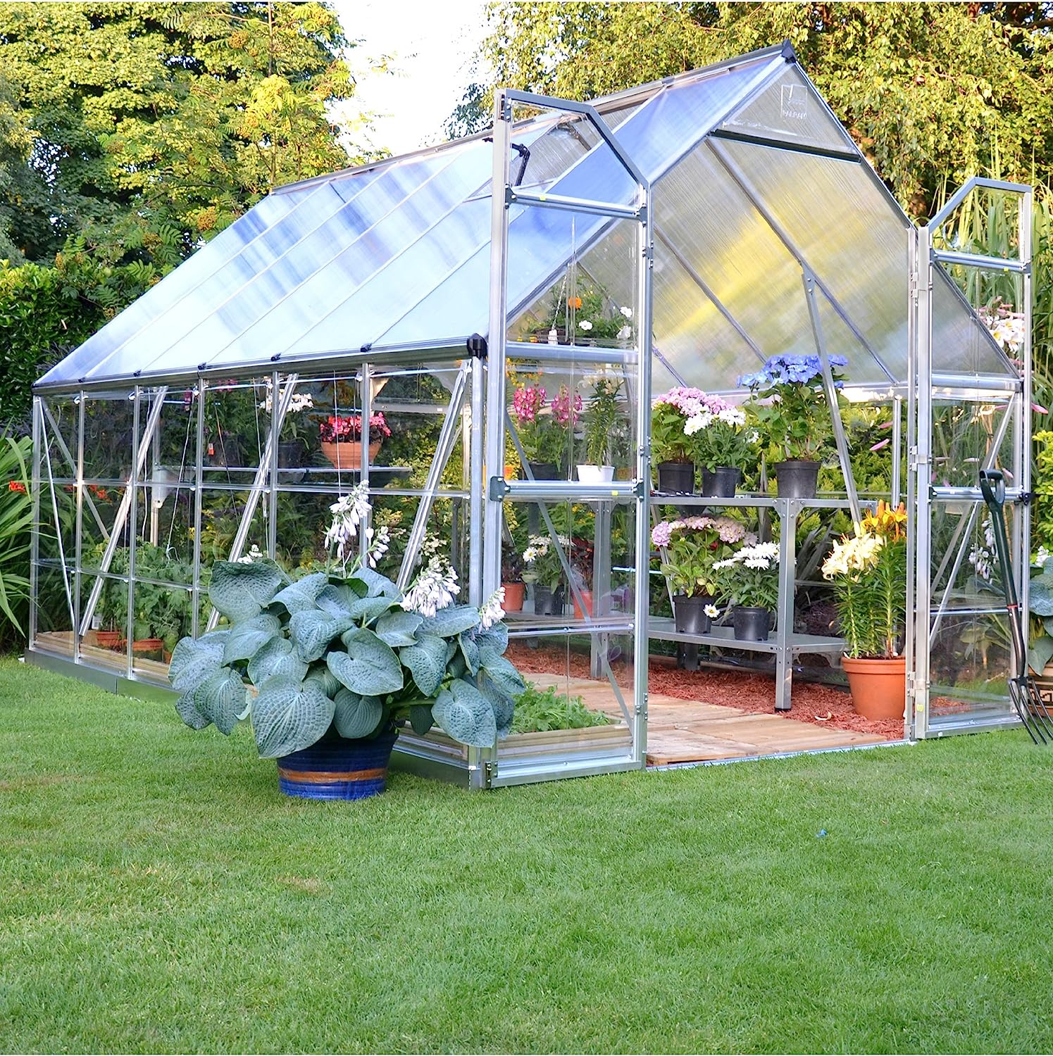 Greenhouses on a Budget: Affordable Options for Every Gardener post thumbnail image