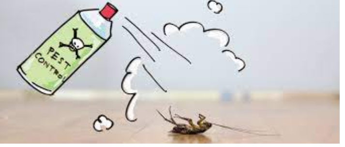 Understanding the Fundamental principles of Bug Biology for Productive Bug Control post thumbnail image