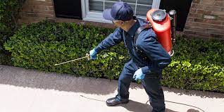 Prevent Costly Infestations with Professional Pest Control Services in Las Vegas post thumbnail image