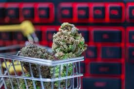 Try looking in a great dispensary to get the best Mail order Marijuana post thumbnail image