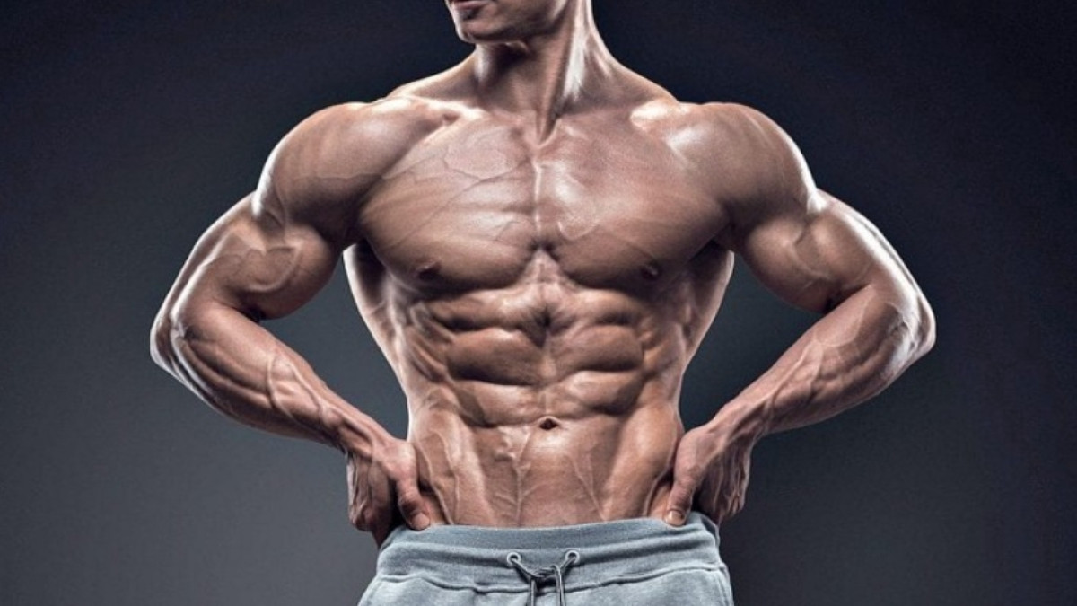 Canada’s Option for Incredible Muscles Results: D-Bal MAX Found post thumbnail image