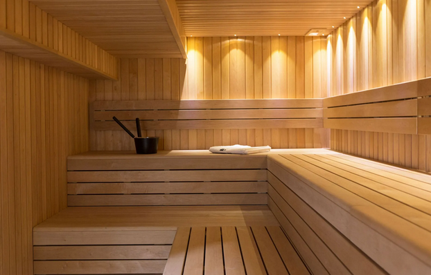 Infrared Sauna Therapy: A Gateway to Holistic Health post thumbnail image