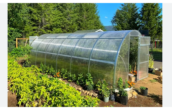 Rise of the Greenhouses: Modern Solutions for Food Security post thumbnail image