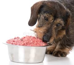 Raw Dog Food Near Me: Unleashing Nutritional Goodness in Lynbrook post thumbnail image
