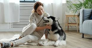 Luxury Meets Four-Legged Friends in Fort Collins Apartments post thumbnail image