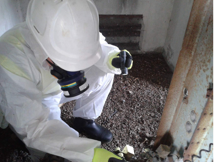 Ensuring Safety: Professional Asbestos Survey Services post thumbnail image