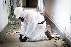 Assessing Asbestos Risks: Importance of Thorough Surveys post thumbnail image