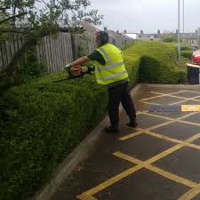 Lush Landscapes: Grounds Maintenance Contractors in London post thumbnail image